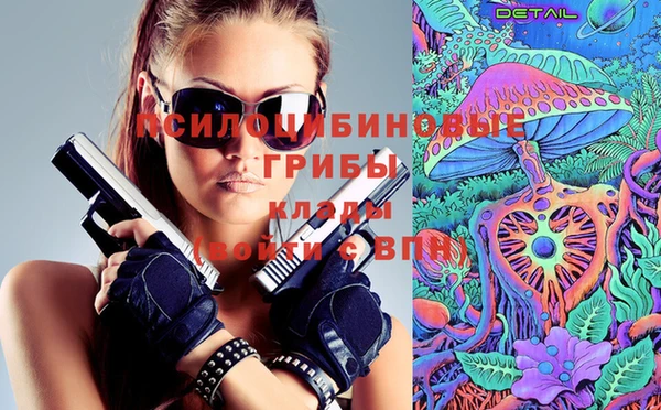 дмт Надым