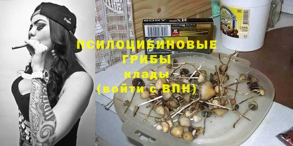 дмт Надым