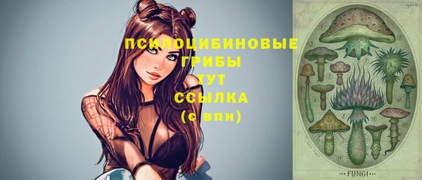 дмт Надым