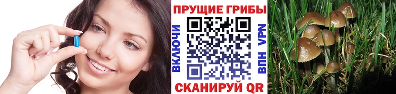 Галлюциногенные грибы GOLDEN TEACHER  продажа наркотиков  Фёдоровский 